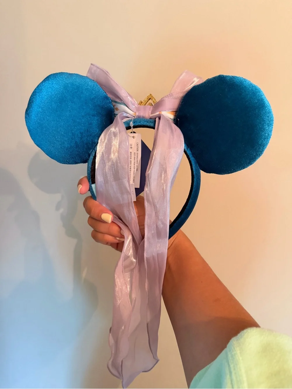 Frozen Disney Parks Ears